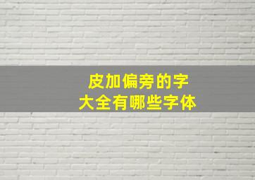 皮加偏旁的字大全有哪些字体