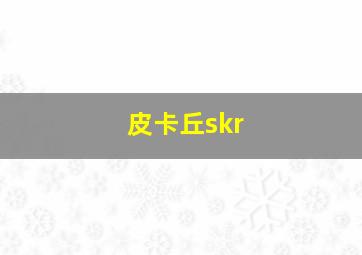 皮卡丘skr