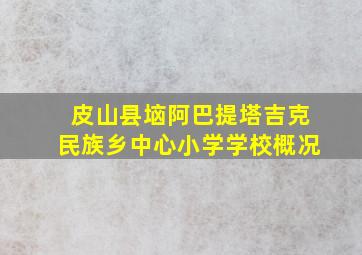 皮山县垴阿巴提塔吉克民族乡中心小学学校概况