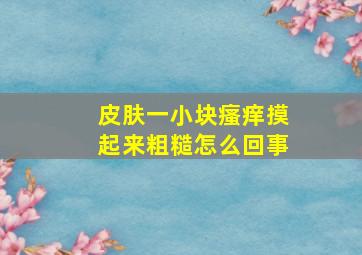 皮肤一小块瘙痒摸起来粗糙怎么回事