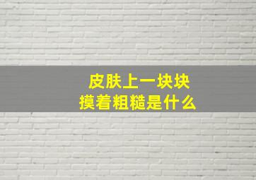 皮肤上一块块摸着粗糙是什么