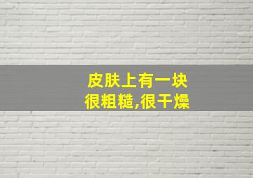 皮肤上有一块很粗糙,很干燥