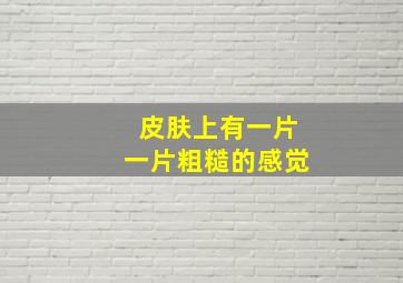 皮肤上有一片一片粗糙的感觉