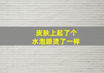 皮肤上起了个水泡跟烫了一样