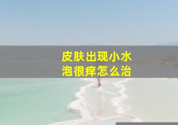 皮肤出现小水泡很痒怎么治