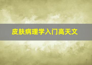 皮肤病理学入门高天文