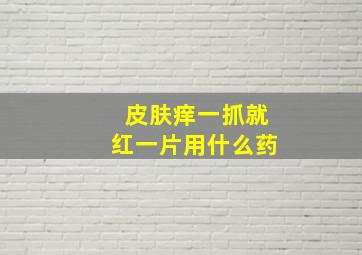 皮肤痒一抓就红一片用什么药