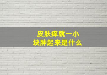 皮肤痒就一小块肿起来是什么