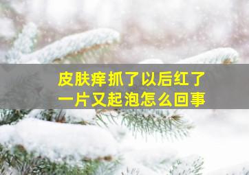 皮肤痒抓了以后红了一片又起泡怎么回事