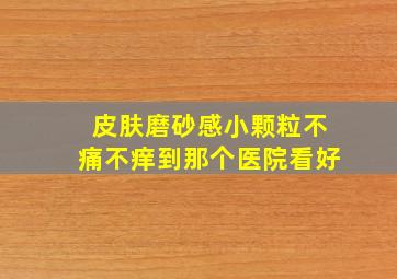 皮肤磨砂感小颗粒不痛不痒到那个医院看好