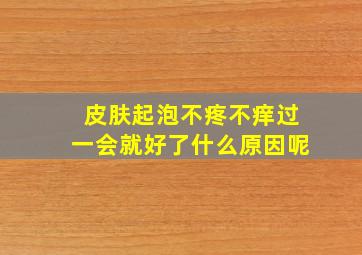 皮肤起泡不疼不痒过一会就好了什么原因呢