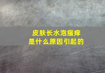 皮肤长水泡瘙痒是什么原因引起的