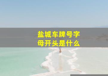 盐城车牌号字母开头是什么