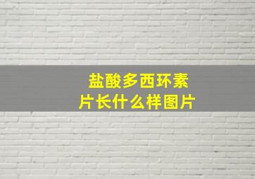 盐酸多西环素片长什么样图片