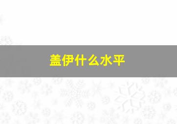 盖伊什么水平