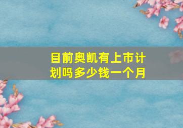 目前奥凯有上市计划吗多少钱一个月