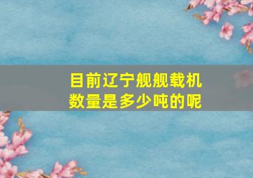 目前辽宁舰舰载机数量是多少吨的呢