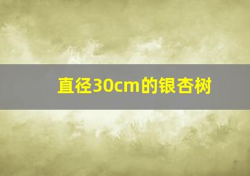 直径30cm的银杏树