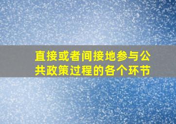 直接或者间接地参与公共政策过程的各个环节