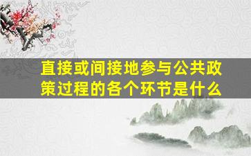 直接或间接地参与公共政策过程的各个环节是什么