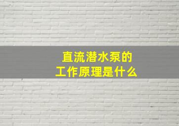 直流潜水泵的工作原理是什么