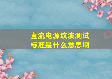 直流电源纹波测试标准是什么意思啊