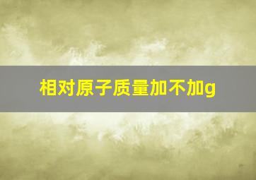 相对原子质量加不加g