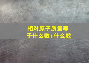 相对原子质量等于什么数+什么数