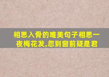 相思入骨的唯美句子相思一夜梅花发,忽到窗前疑是君