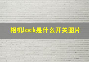 相机lock是什么开关图片