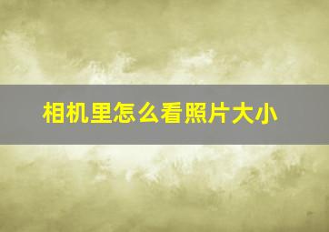 相机里怎么看照片大小