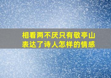 相看两不厌只有敬亭山表达了诗人怎样的情感