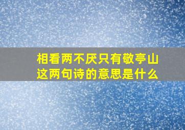 相看两不厌只有敬亭山这两句诗的意思是什么