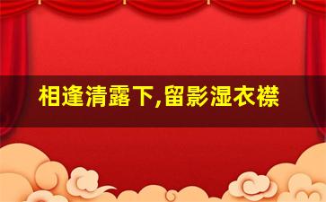 相逢清露下,留影湿衣襟