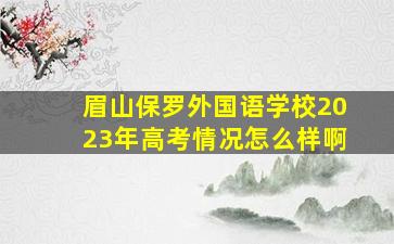 眉山保罗外国语学校2023年高考情况怎么样啊