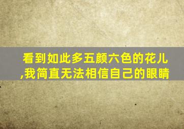 看到如此多五颜六色的花儿,我简直无法相信自己的眼睛