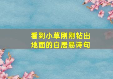 看到小草刚刚钻出地面的白居易诗句