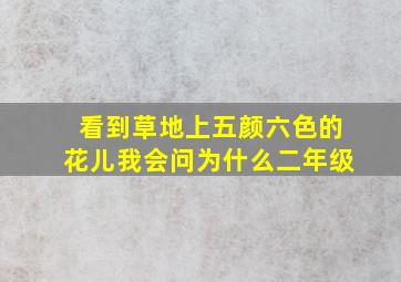 看到草地上五颜六色的花儿我会问为什么二年级