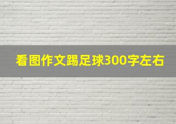 看图作文踢足球300字左右