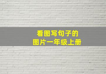 看图写句子的图片一年级上册