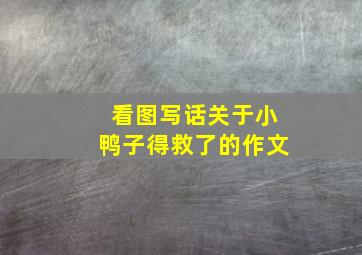 看图写话关于小鸭子得救了的作文