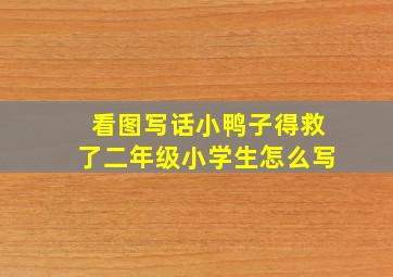 看图写话小鸭子得救了二年级小学生怎么写