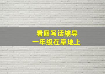 看图写话辅导一年级在草地上