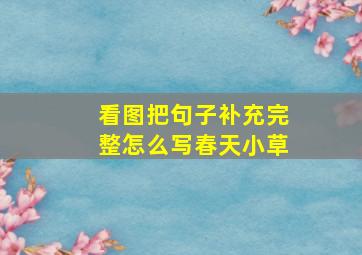 看图把句子补充完整怎么写春天小草