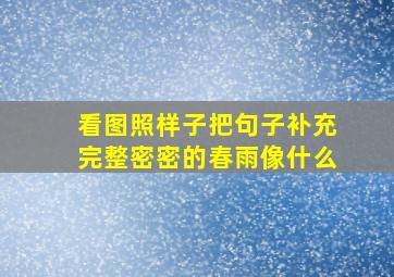 看图照样子把句子补充完整密密的春雨像什么