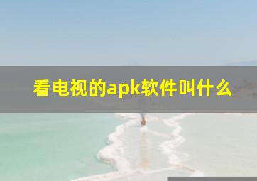 看电视的apk软件叫什么