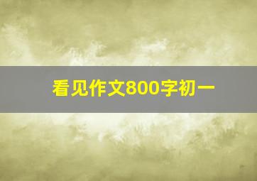 看见作文800字初一