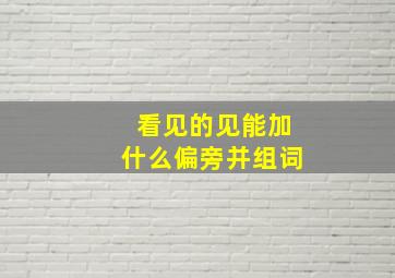 看见的见能加什么偏旁并组词