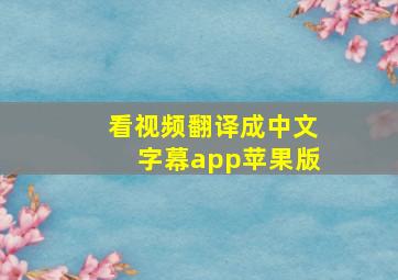 看视频翻译成中文字幕app苹果版