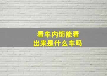 看车内饰能看出来是什么车吗